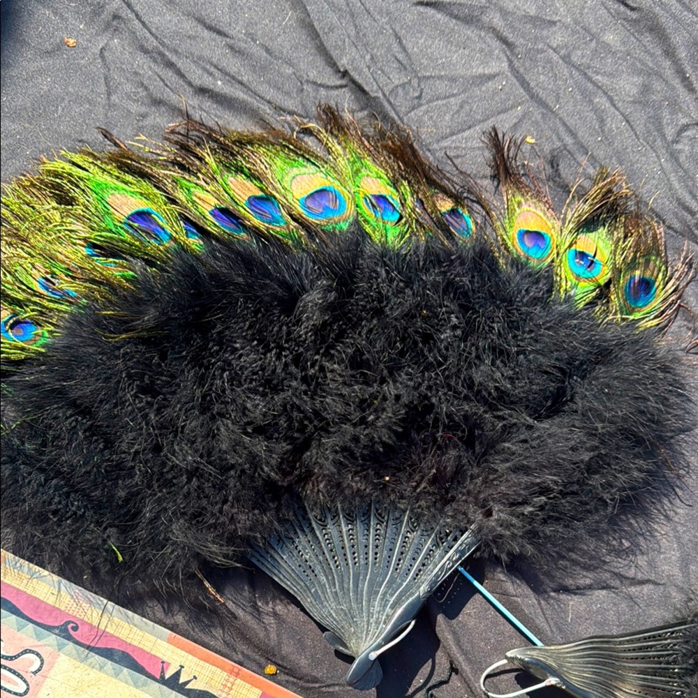 Elegant Black and Green Feather Fan